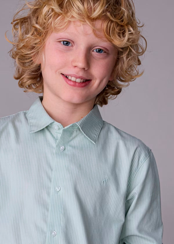 Camisa básica lineas verde