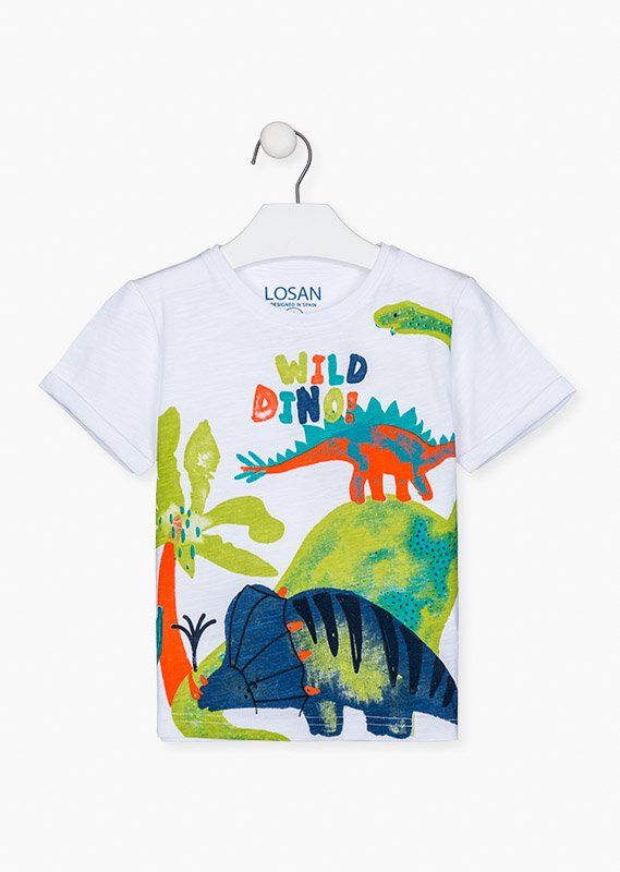 set bermuda y camiseta dinosaurios