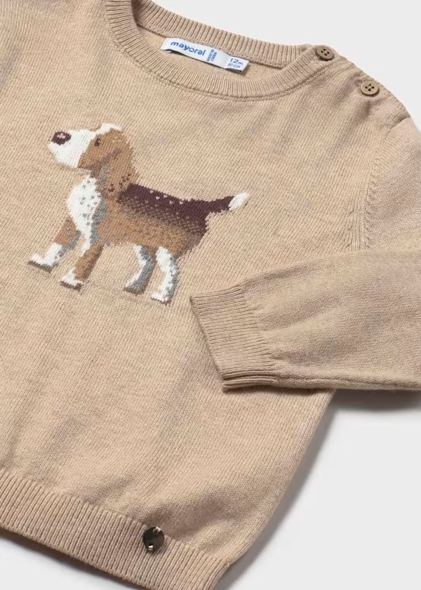 Jersey motivo intarsia beagle