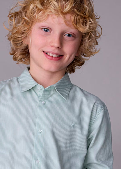 Camisa básica lineas verde