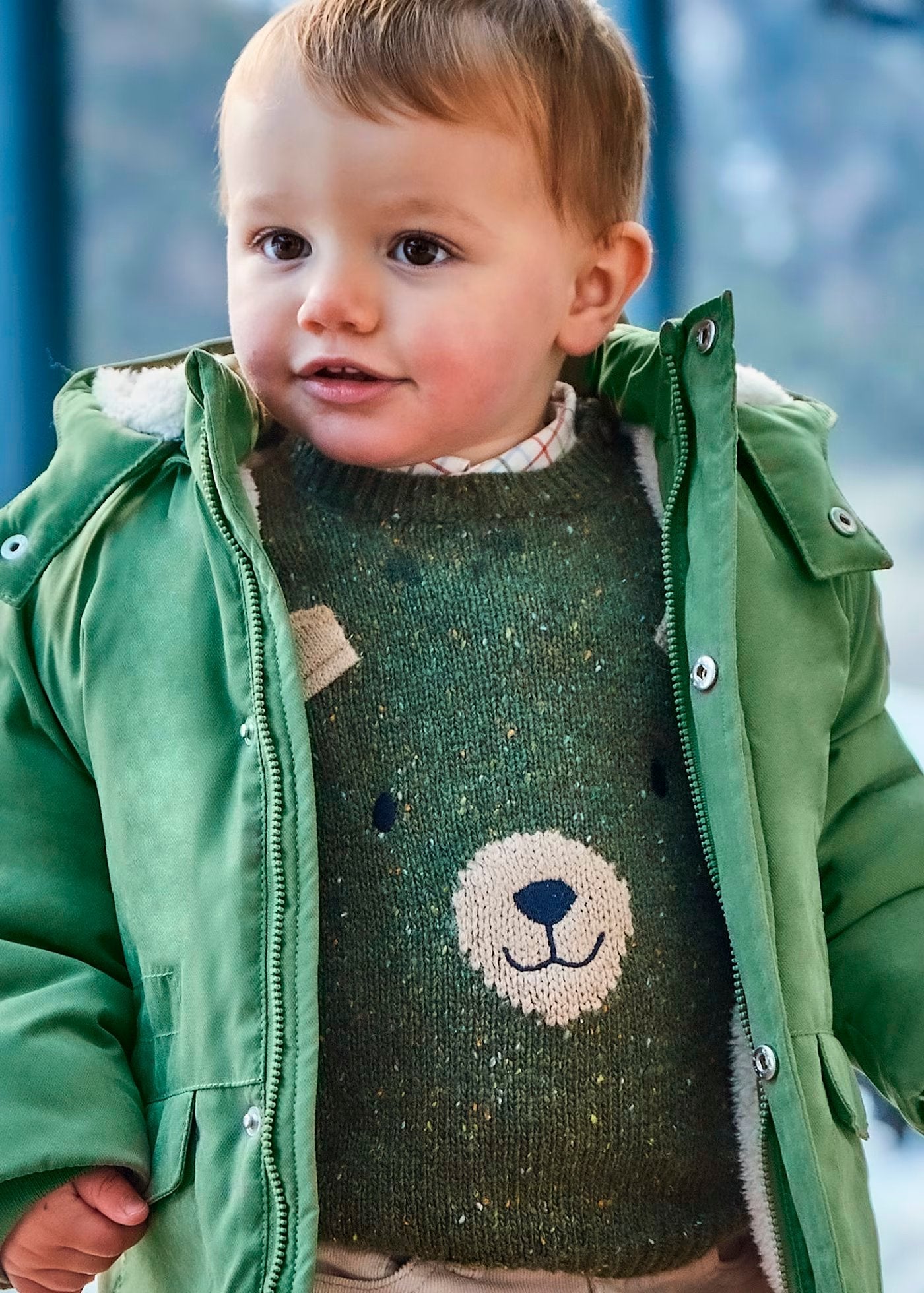 jersey verde bosque, osito