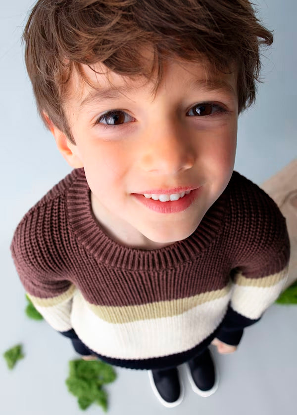 Jersey bandas Ciruela