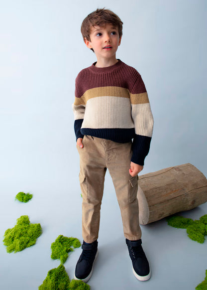 Jersey bandas Ciruela