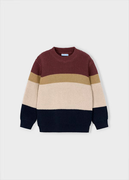 Jersey bandas Ciruela