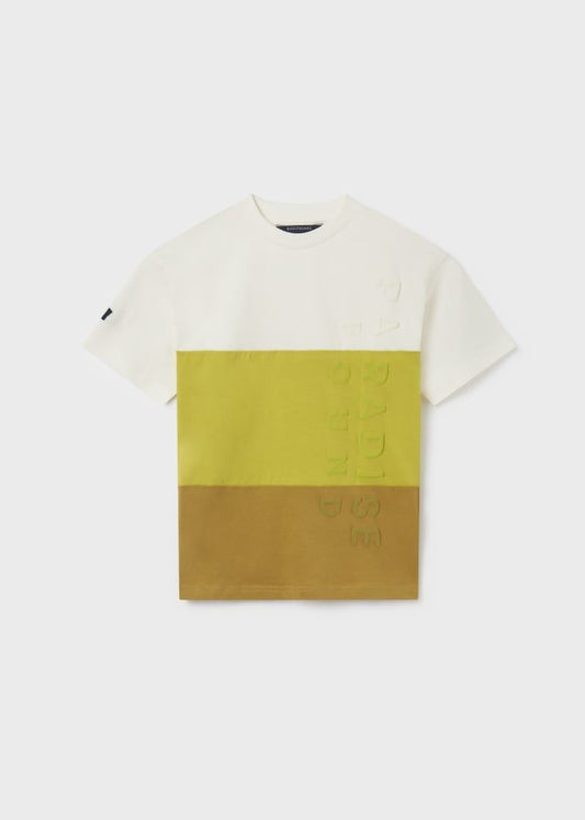 camiseta diseño tricolor