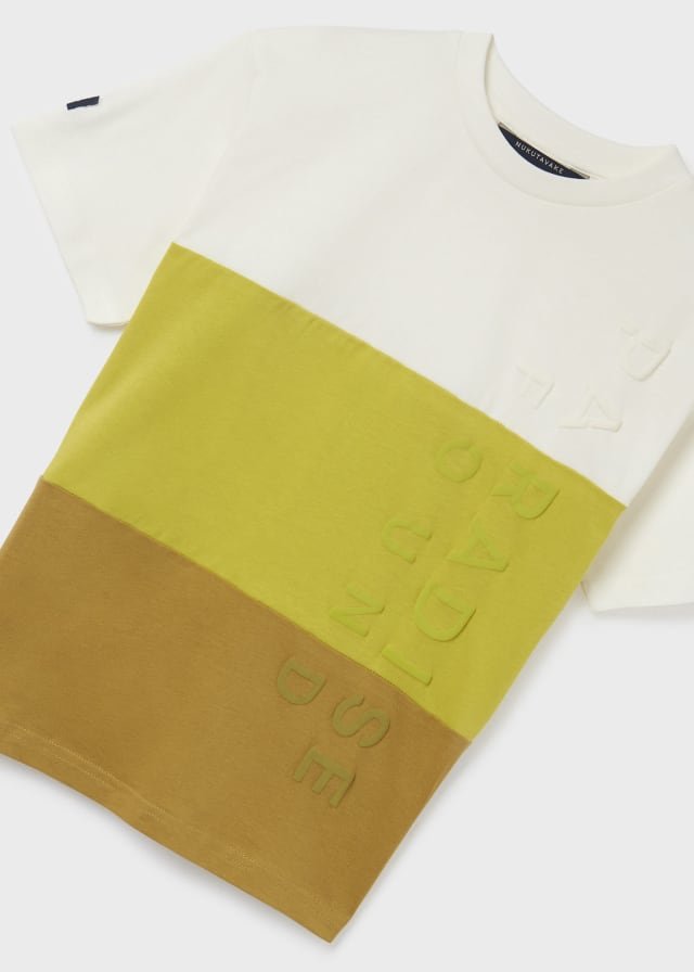 camiseta diseño tricolor