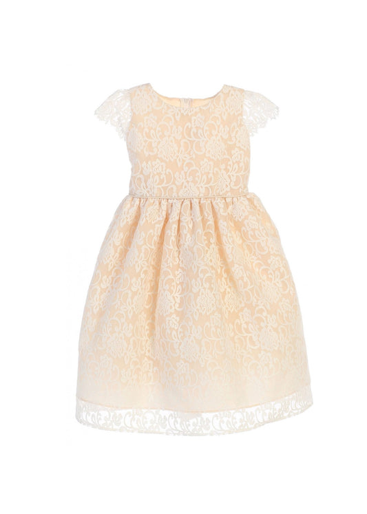 Vestido champagne flores bordadas